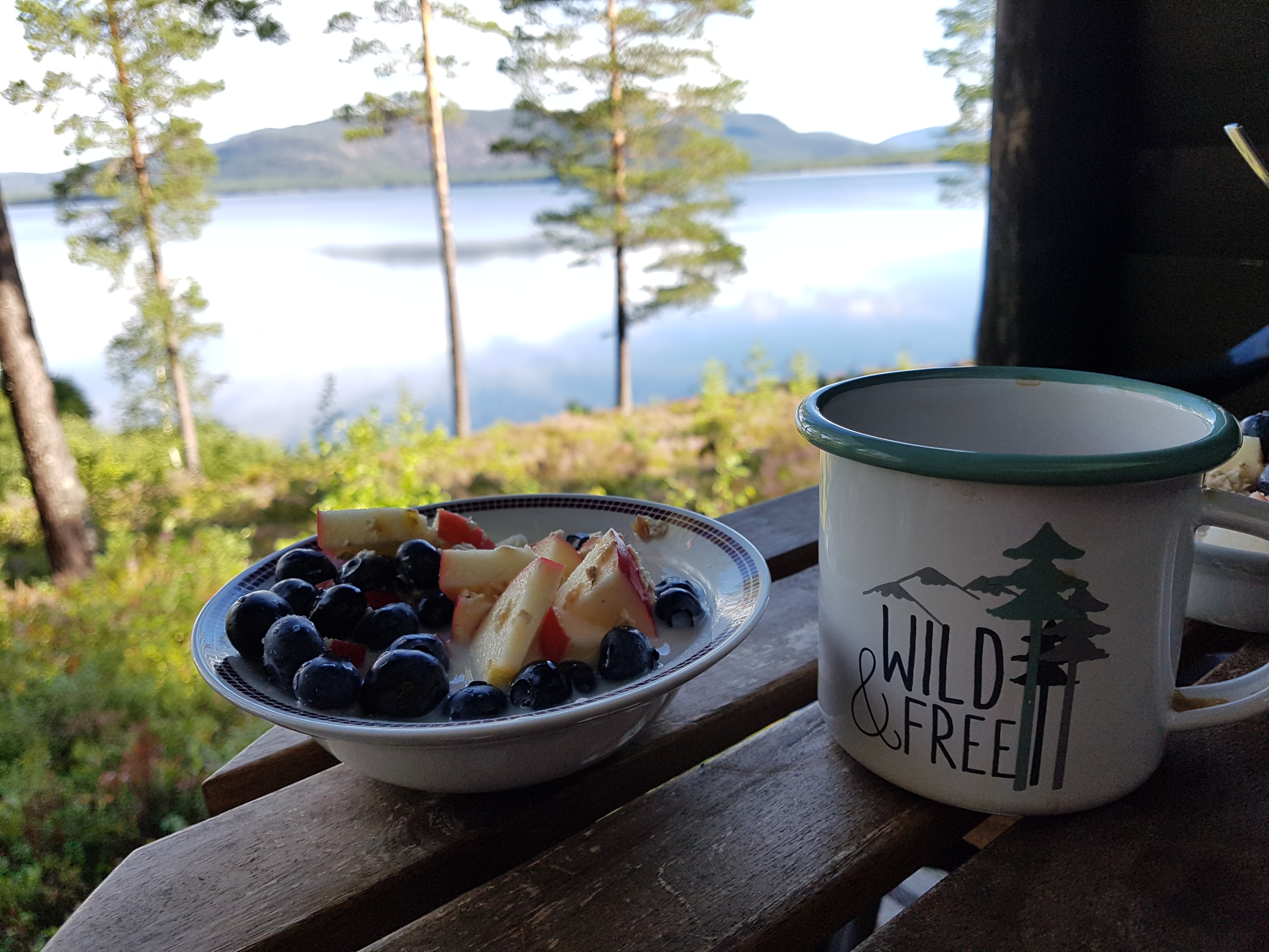 Eine Schale mit Blaubeeren und Apfeln sowie eine Kaffeetasse stehen auf einem Holztisch. Im Hintergrund ist der Fjord zu sehen