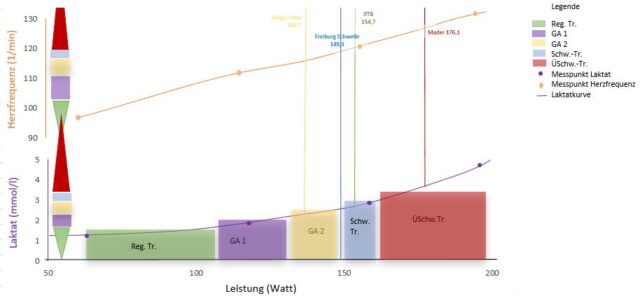 Abbildung Ergebnis der Lesitungsdiagnostik
