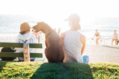 Richtiger Sonnenschutz: Eine Frau sitzt neben ihrem Hund auf einer Mauer und schaut auf eine Strandpromenade.. Vor ihr sitzt eine Frau auf der Bank, Menschen kommen vom Strand auf die Promenade