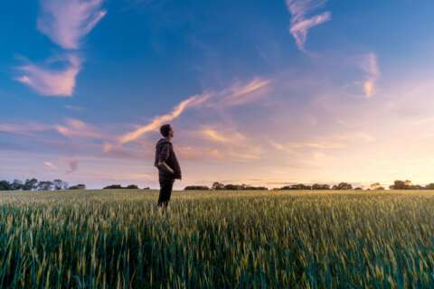 Wohlfühlen: Ein Mann steht in der Abenddämmerung auf einem Kornfeld