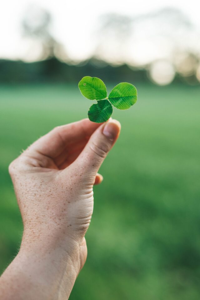Irland: Eine Hand mit Sommersprossen h&auml;lt ein Kleeblatt