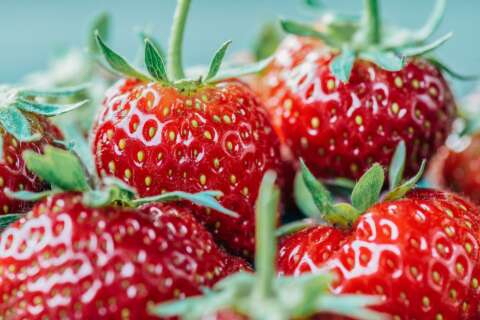 Frische Erdbeeren in Nahaufnahme