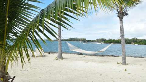 Checkliste-Urlaub: Hängematte zwischen zwei Palmen am Strand lädt im Urlaub zum Entspannen ein.