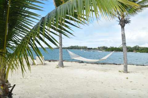 Checkliste-Urlaub: Hängematte zwischen zwei Palmen am Strand lädt im Urlaub zum Entspannen ein.
