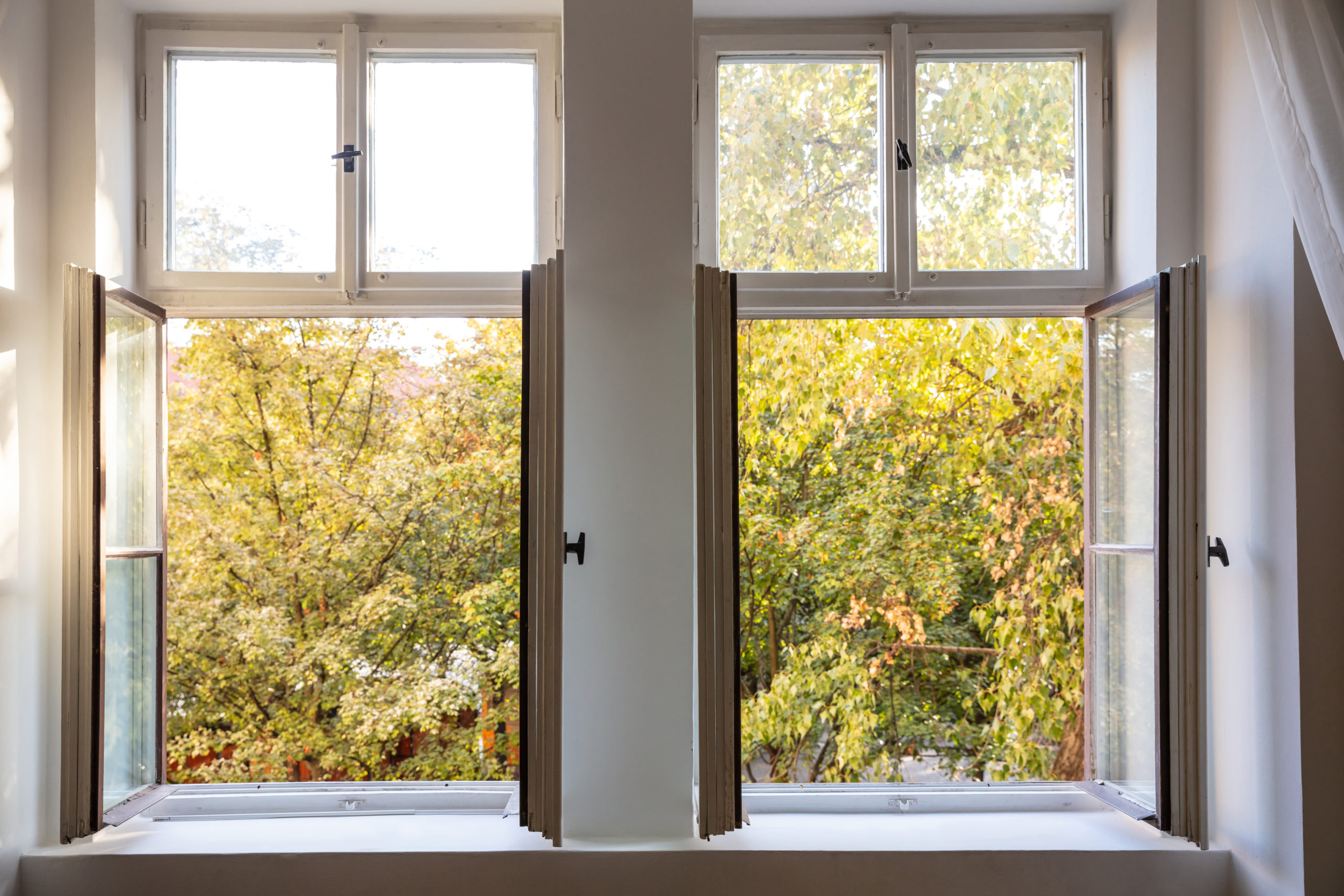 Lüften - Blick durch zwei offen Fenster auf Bäume mit gelbem Herbstlaub