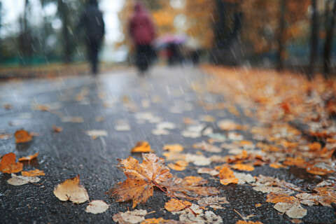 Outdoor-Sport: Herbstregen im Park