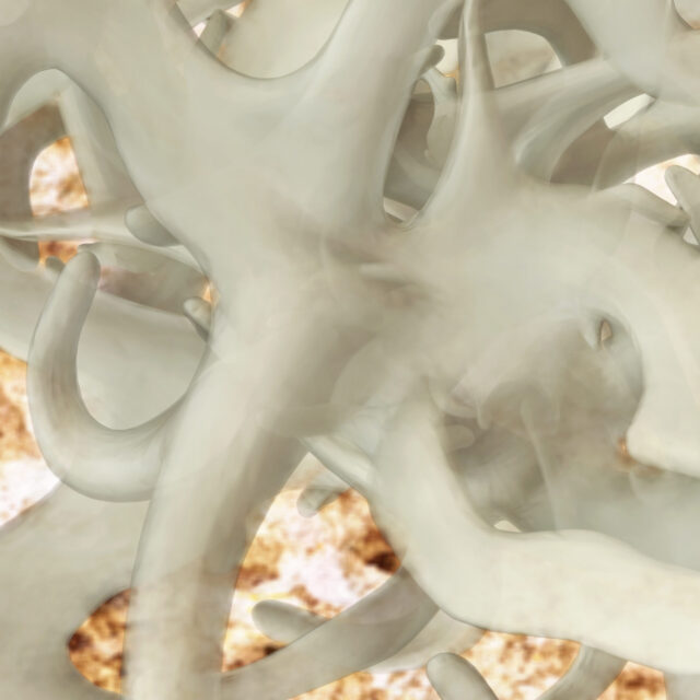 Faszien im 3D-Format
