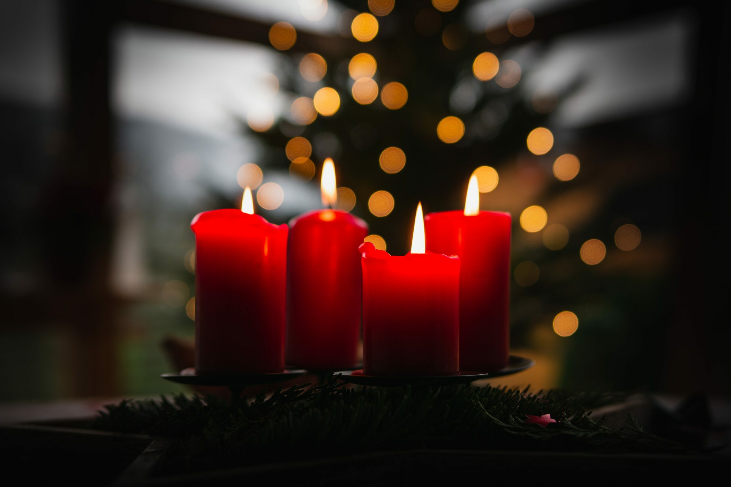 nachhaltige Weihnachten: 4 Kerzen brennen auf einem Adventskranz. Im Hintergrund steht ein Tannenbaum