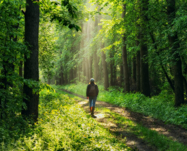 Bewegung: Eine Frau spaziert über einen Waldweg