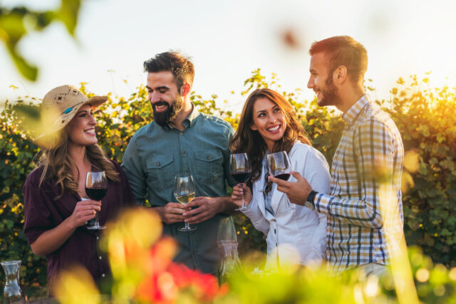 In Vino Veritas: junge Menschen trinken Wein in einem Weinberg
