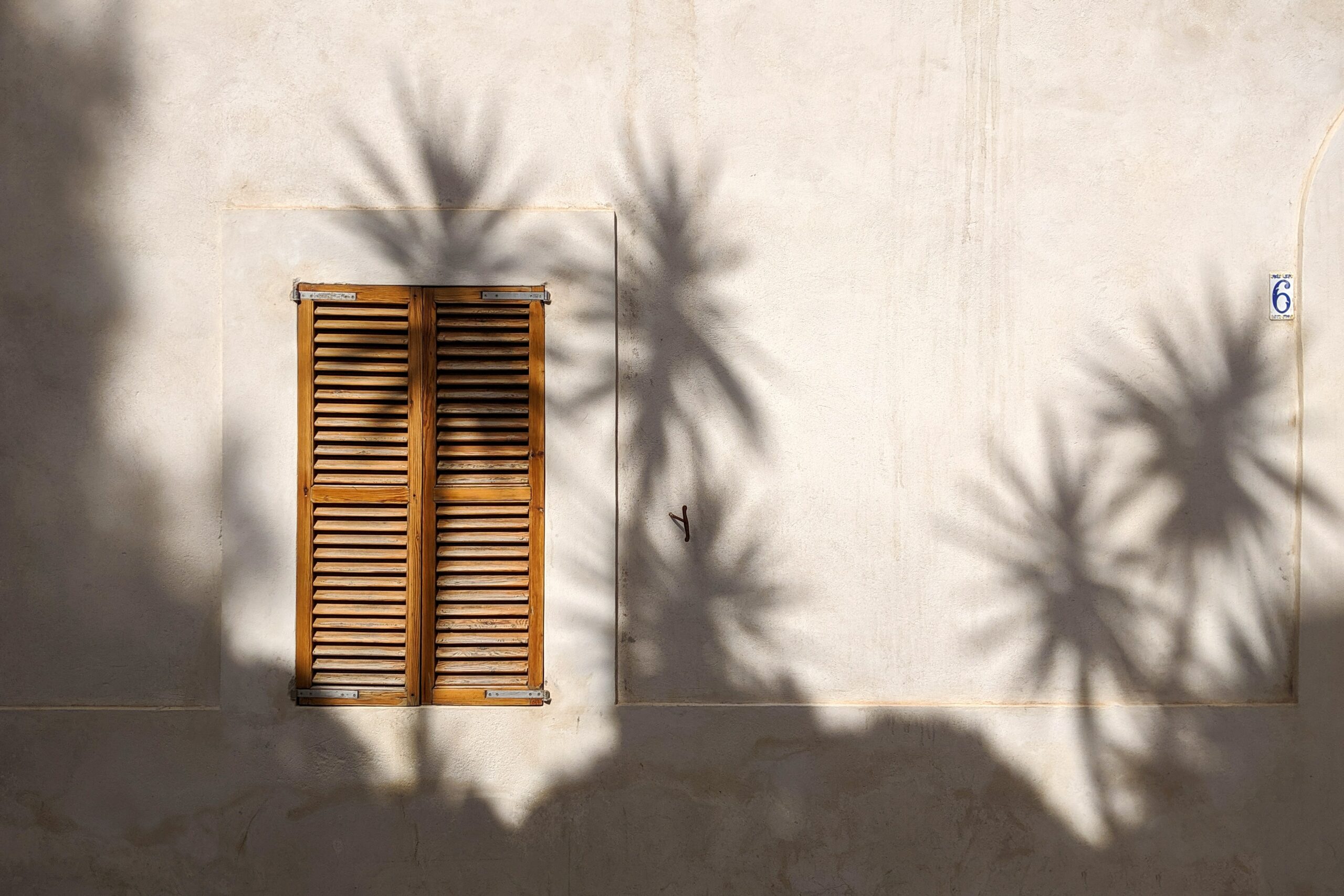 Endlich Sommer: Weiße Hauswand mit geschlossenen Fensterläden und Schatten vom Palmen