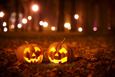 Halloween: zwei Kürbislaternen am Waldboden in der Nacht