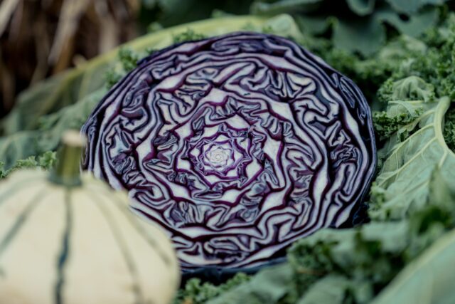 Rotkohl: Nahaufnahme Rotkohl