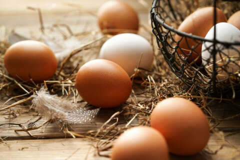 Eier: Frische braune und weiße Eier im Korb